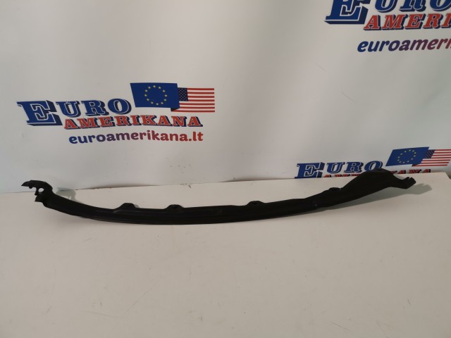Rear Weather-Strip (Right)
